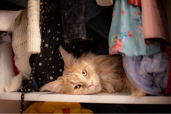 A cat is sleeping in between clothes