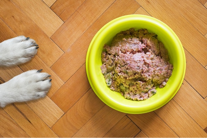 A dog's paws are positioned beside a neon green bowl with canned dog food