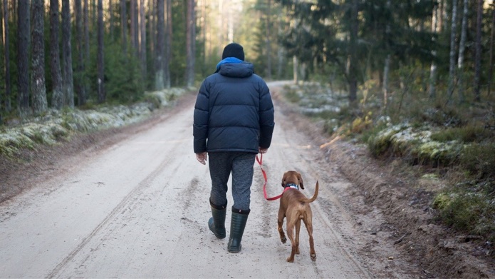 A dog is walking with its owner on a road surrounded by nature