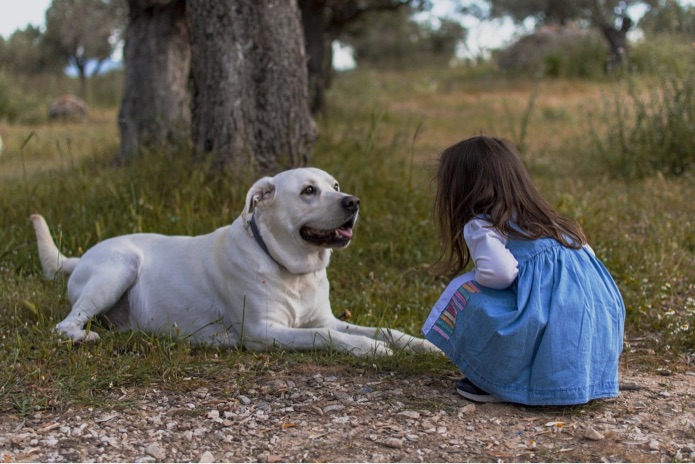 Dog therapy may improve social skills in children on the autism spectrum