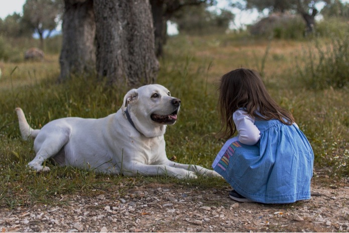 A young girl and dog are looking straight at one another