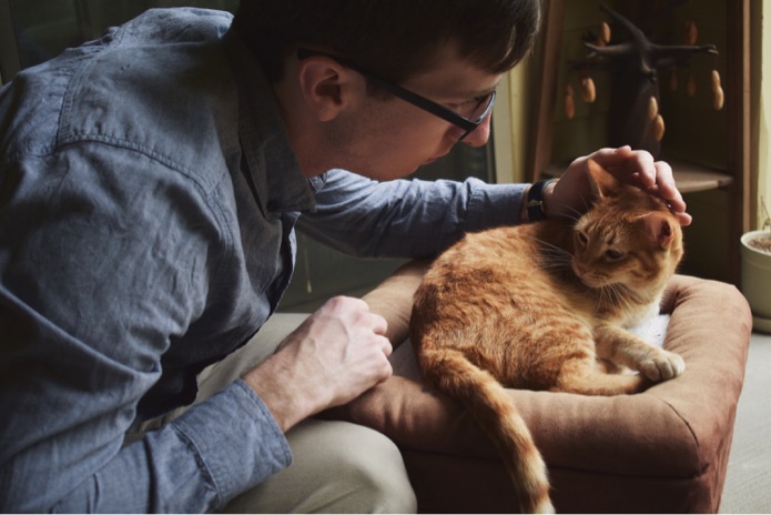 ‘Relentless calls and constant abuse’: why Britain’s vets are in crisis ‘Relentless calls and constant abuse’: why Britain’s vets are in crisis