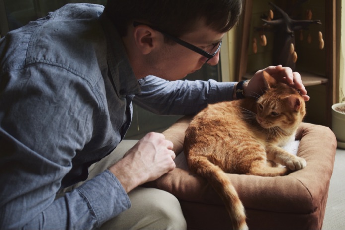 A man is petting an orange tabby cat