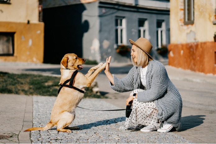 A woman and dog are high-fiving together outside