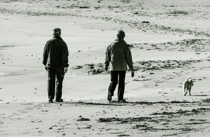 An elderly couple is walking their dog on the beach