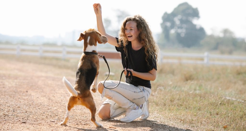 A woman is holding a treat above a dog outside