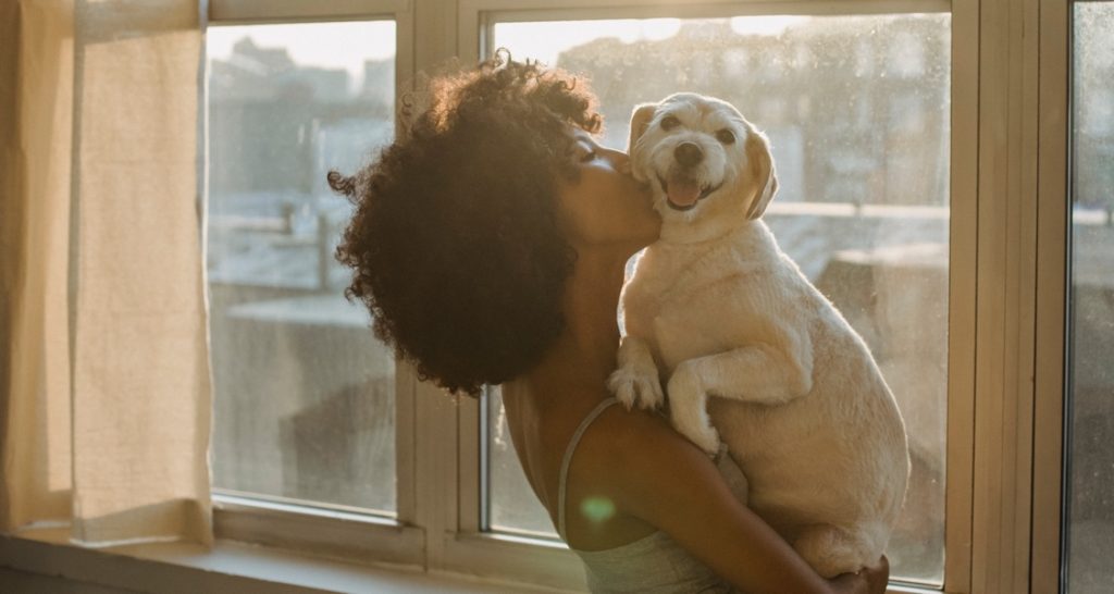 A woman is kissing the side of a dog's head while holding them