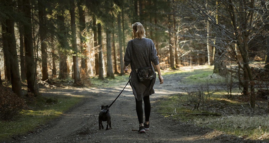 Dog owners reminded to leash dogs on trails
