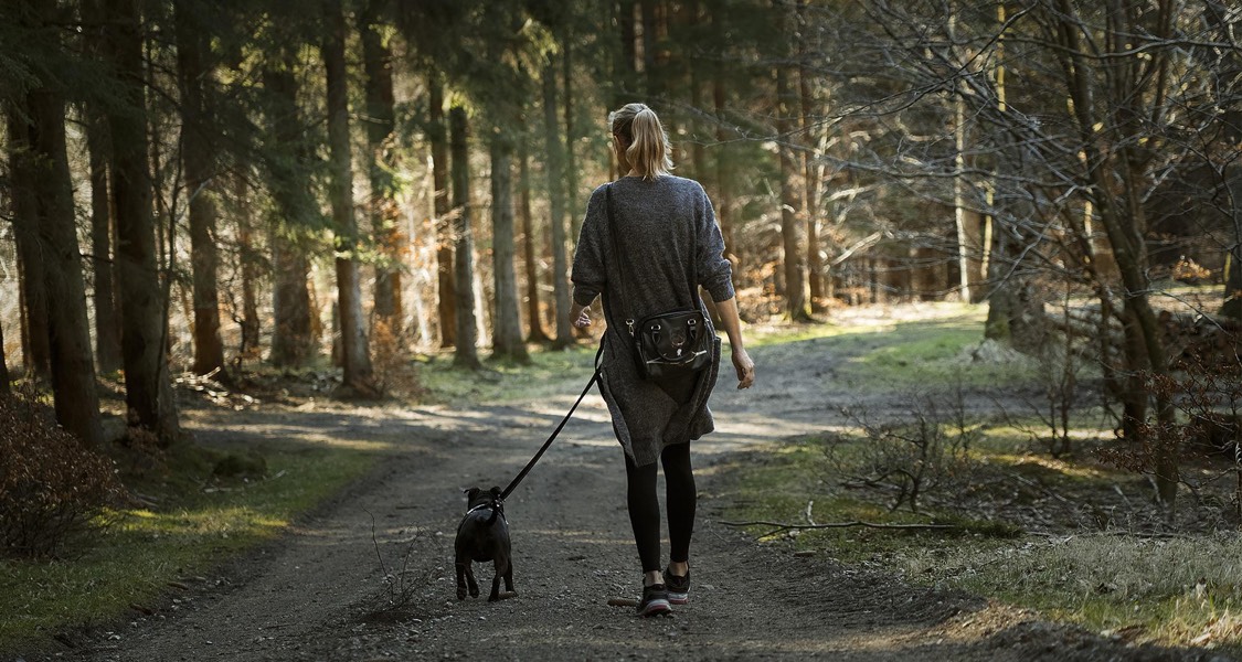 Dog owners reminded to leash dogs on trails Dog owners reminded to leash dogs on trails