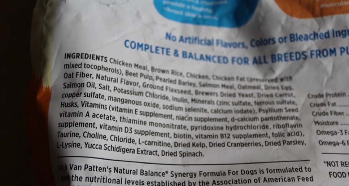 Pet Dental Care Products 101: Avoid These Ingredients