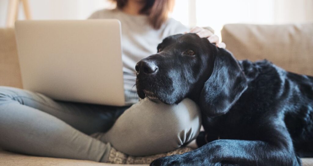 A black dog is resting its head on a woman's knee