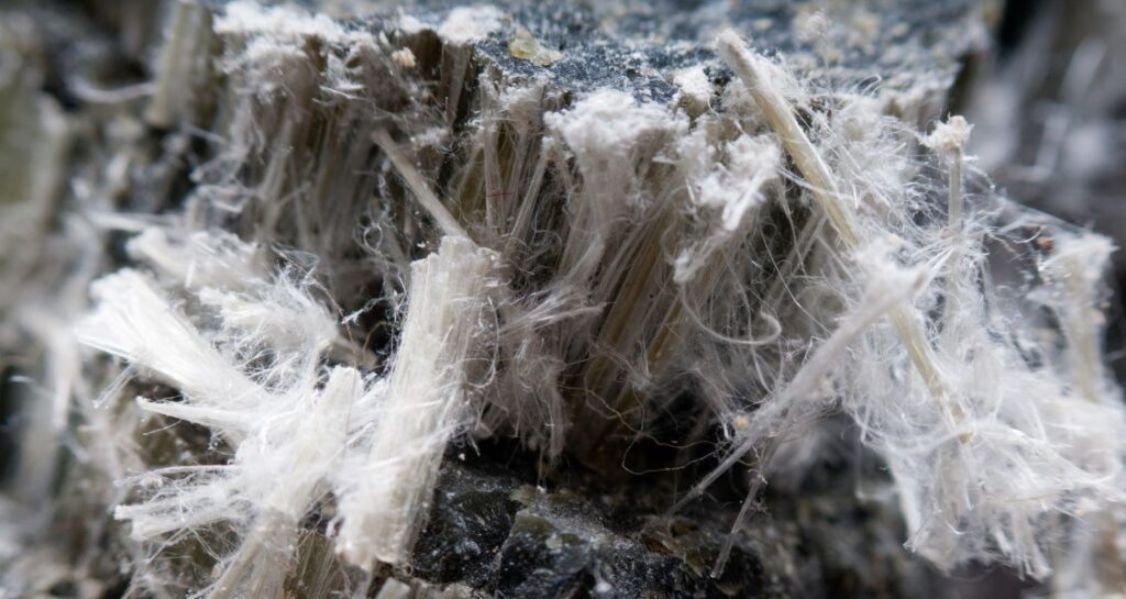 Asbestos chrysotile fibers