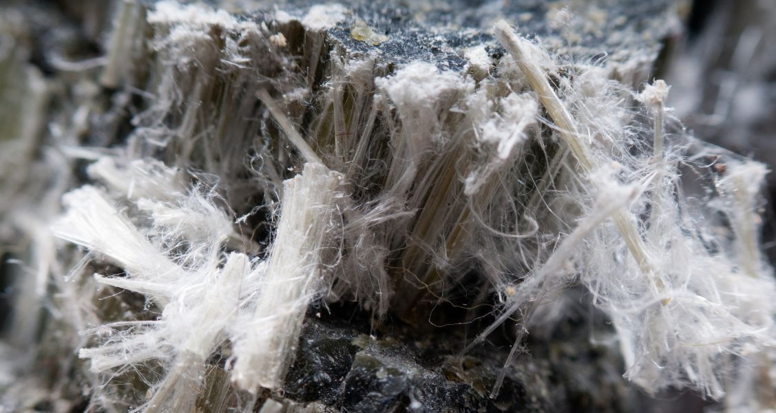 How Does Asbestos Exposure Affect Your Pets?