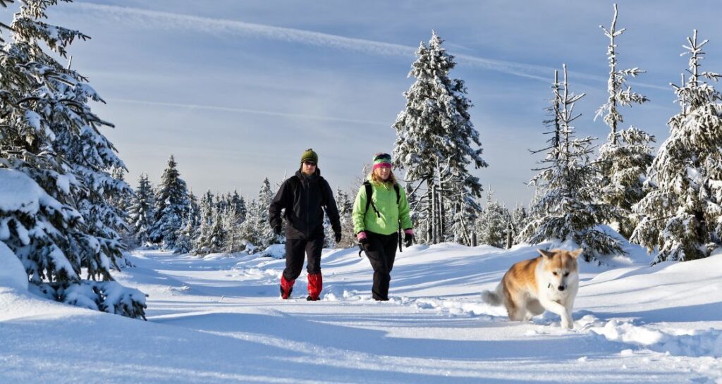 A man and woman are hiking with a dog in the snow