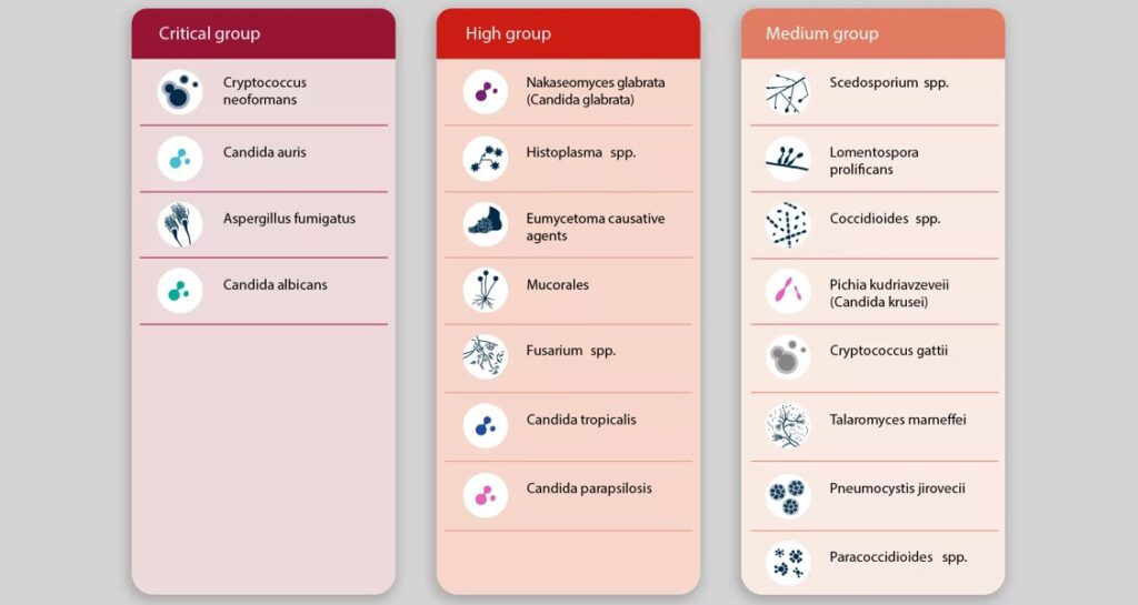 WHO's fungal priority pathogens list