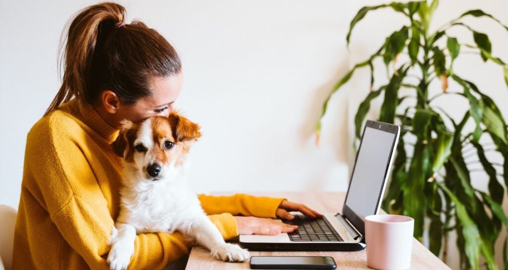 A woman wearing a yellow sweater is holding her dog while on her laptop