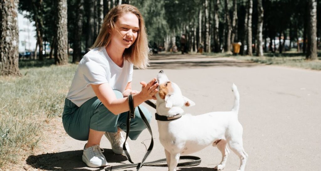 A woman is stroking a dog under their chin on a walk