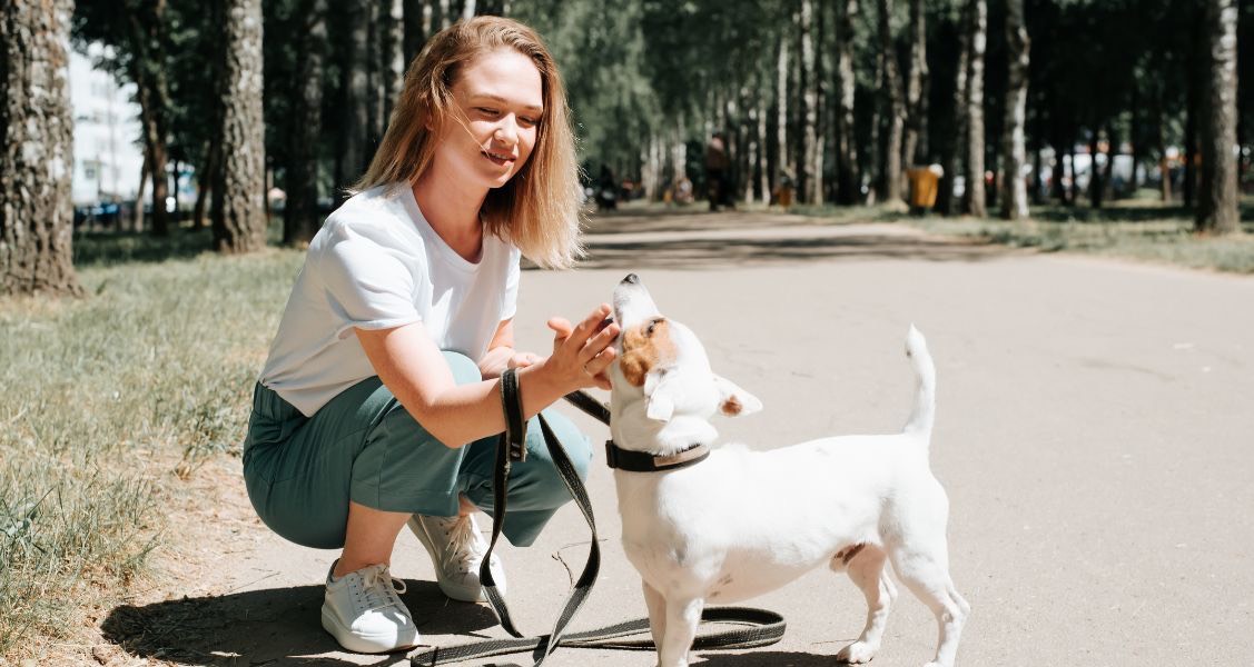 4 Easy Ways To Effectively Bond with Your Dog 4 Easy Ways To Effectively Bond with Your Dog