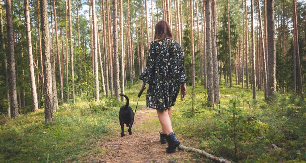 A woman is walking a dog in a forest