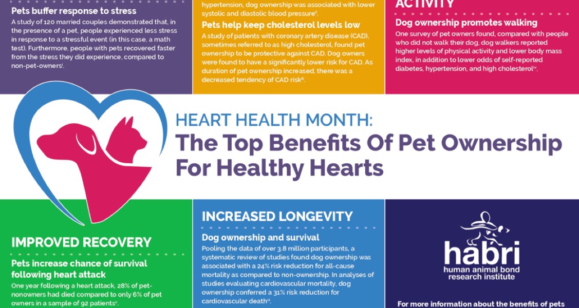 The Top Benefits Of Pet Ownership For Healthy Hearts