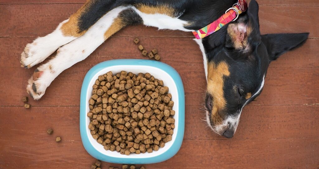 A dog is laying beside a bowl of dry dog food