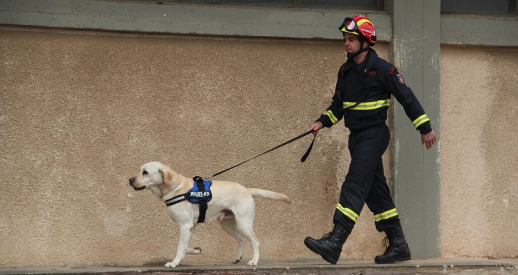 A firefighter is walking a dog outside