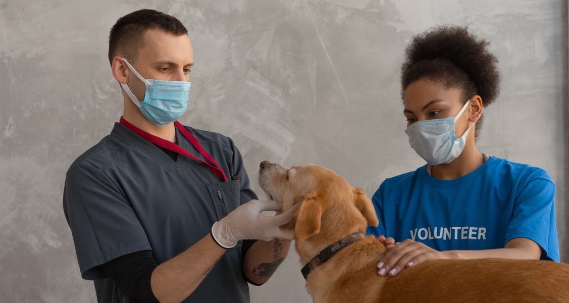 If Your Dog Or Cat Smells Like This, It’s Time To See A Vet If Your Dog Or Cat Smells Like This, It’s Time To See A Vet