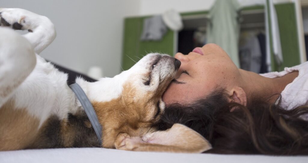 A dog is pressing its head up against a woman's head