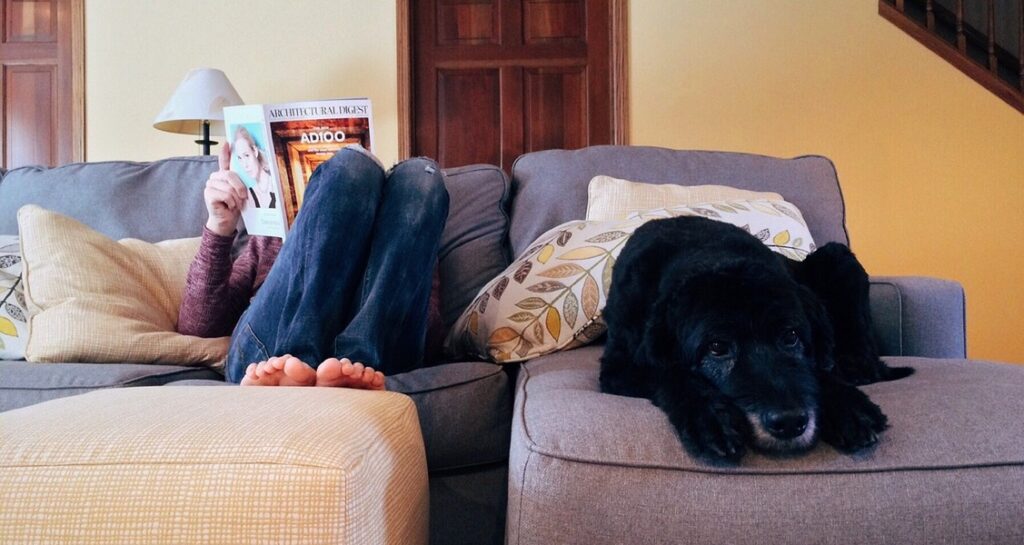 A dog is laying on a couch next to a woman