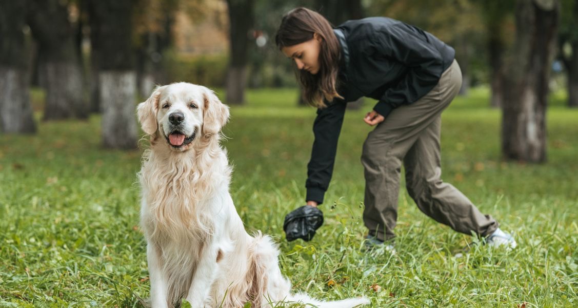Reasons It’s Harmful To Let Your Dog’s Waste Sit in the Yard