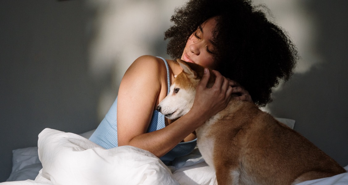 Dogs and humans share similarities in reading body language, study finds