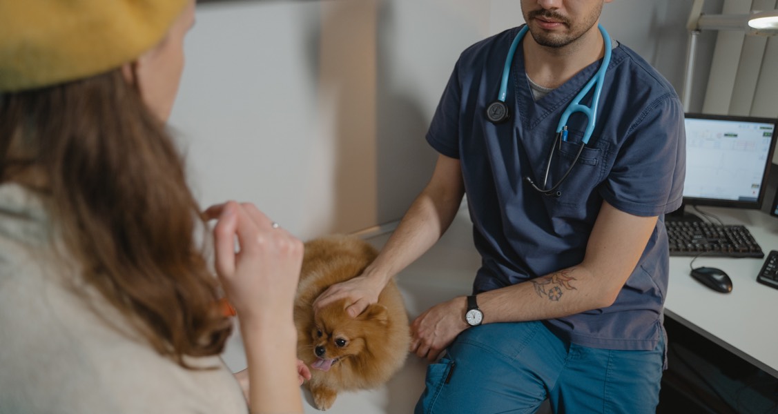 Study reveals underarm pet thermometers are faster, reduce necessary restraint