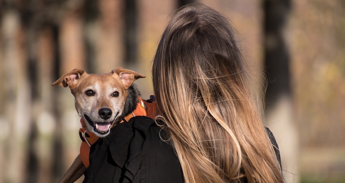 Emotional Support Animals Benefit Those With Chronic Mental Illness Emotional Support Animals Benefit Those With Chronic Mental Illness