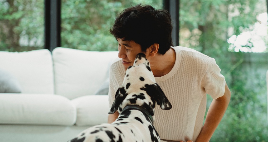 Is it okay to kiss your pet? The risk of animal-borne diseases is small, but real Is it okay to kiss your pet? The risk of animal-borne diseases is small, but real
