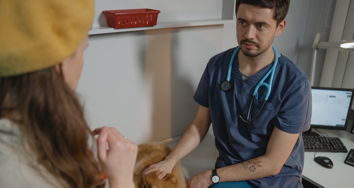 Pet owner ‘bill shock’ worsening the mental health crisis among Australian vets, inquiry told Pet owner ‘bill shock’ worsening the mental health crisis among Australian vets, inquiry told