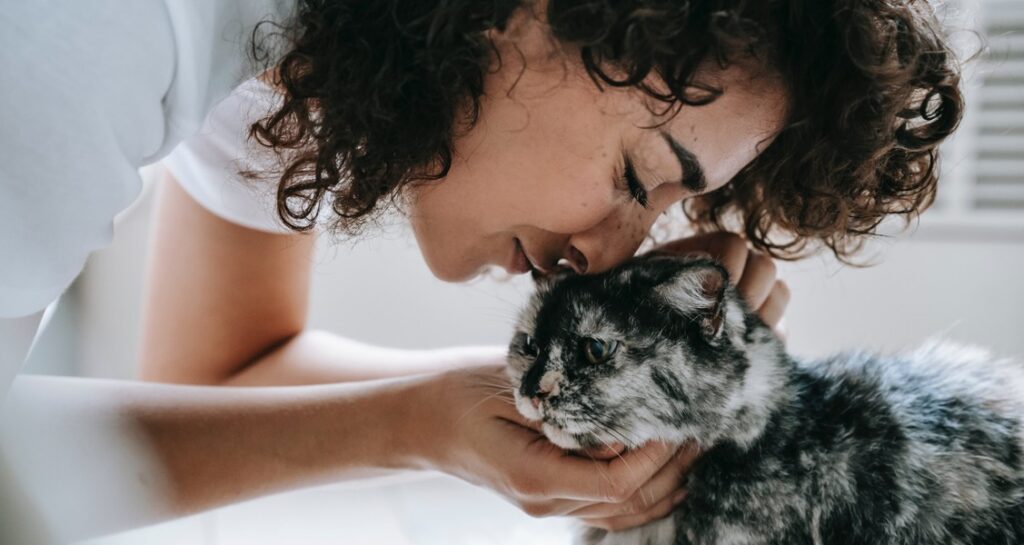 A woman is kissing a cat on the head
