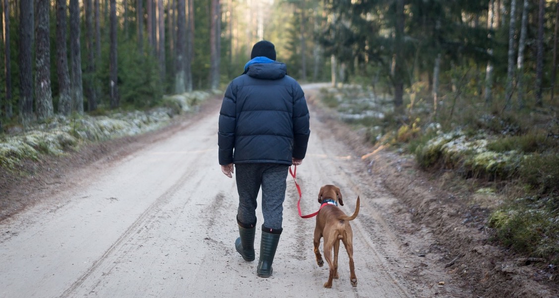 B.C. family pets no longer considered ‘property’ in separation or divorce proceedings B.C. family pets no longer considered ‘property’ in separation or divorce proceedings