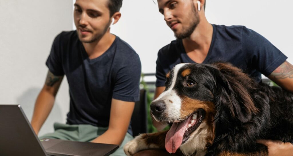 Two male twins are looking at a laptop while one is holding a dog