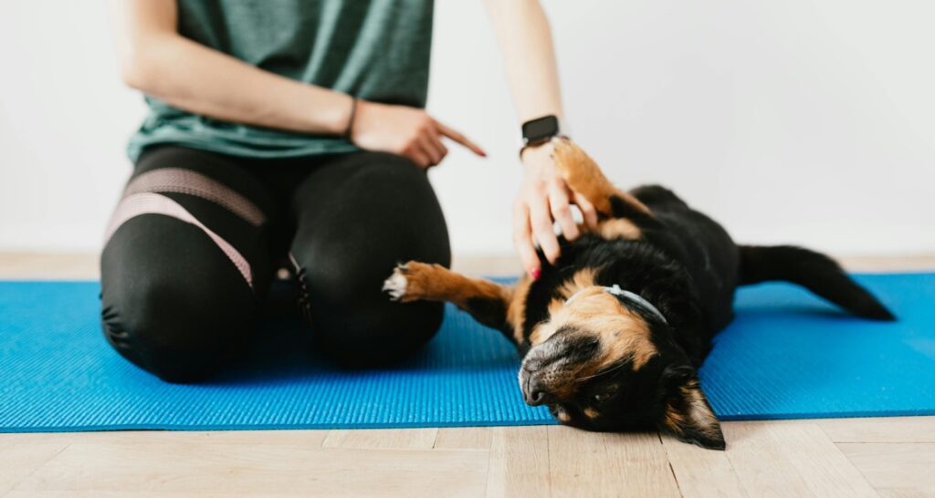 A woman is training a dog on a yoga mat