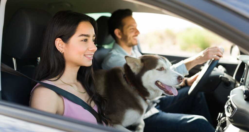 A couple is driving in the car with a dog on the woman's lap