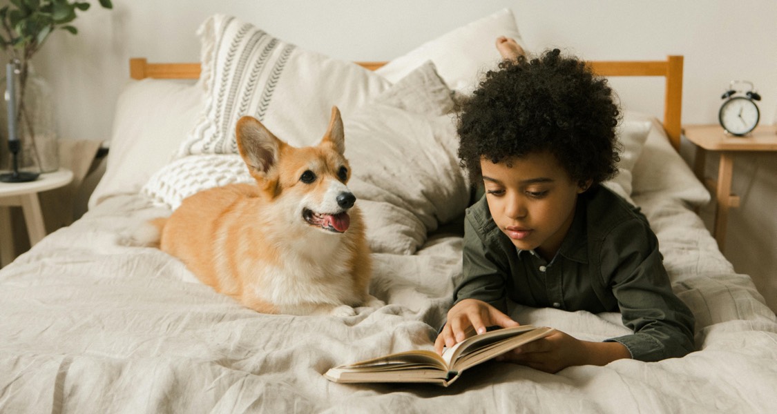 The stress-buffering effects of child-dog interactions The stress-buffering effects of child-dog interactions