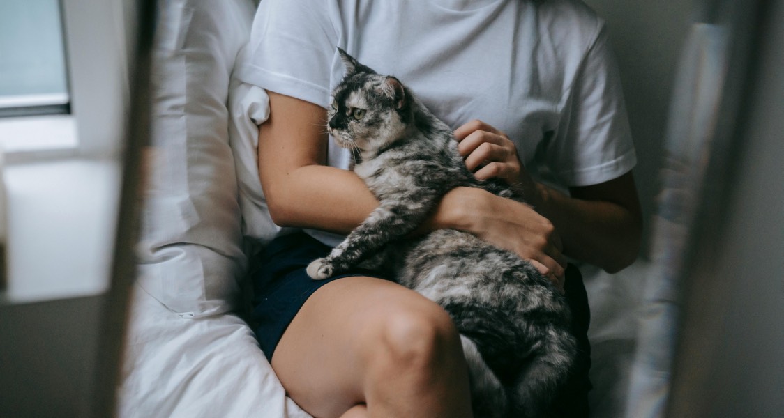 Whiskers, Woofs, and Wellness: How Pets Keep Us Feeling Fine Whiskers, Woofs, and Wellness: How Pets Keep Us Feeling Fine
