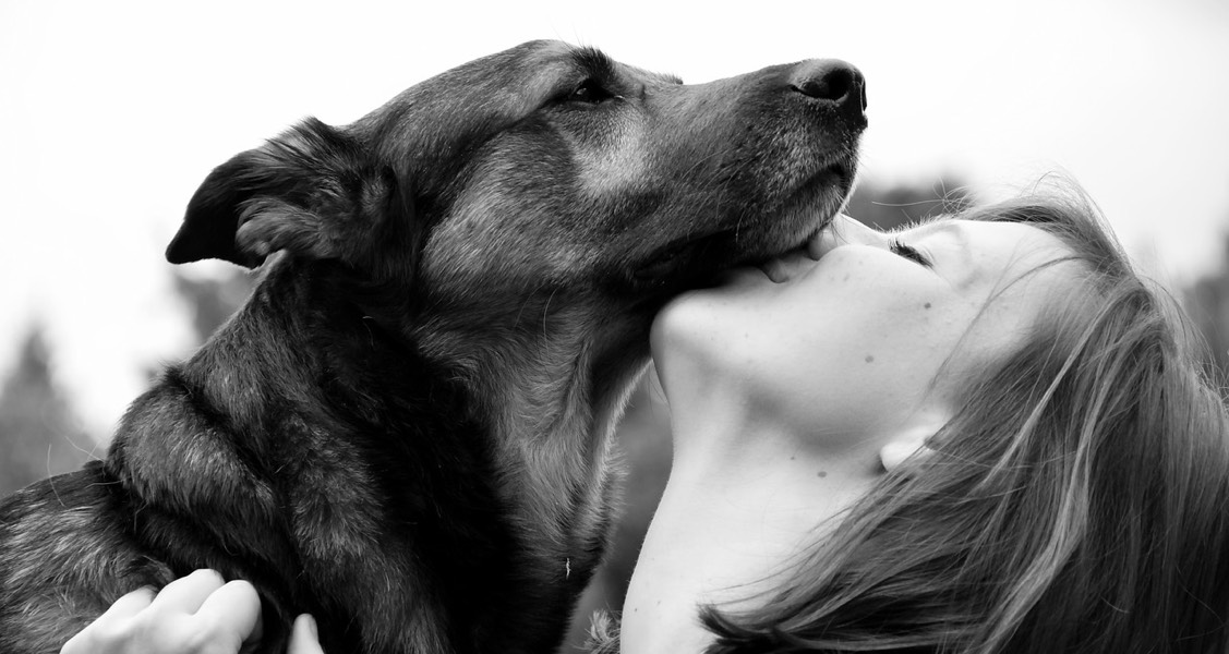 FAU Awarded Grant to Examine Role of Pet Dogs on Military Adolescents FAU Awarded Grant to Examine Role of Pet Dogs on Military Adolescents