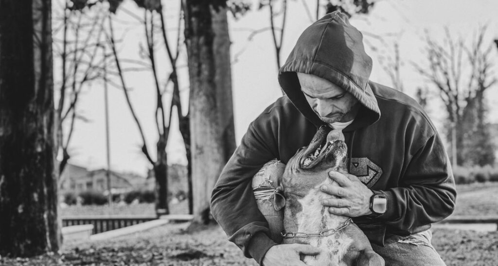 A dog is looking up at a man
