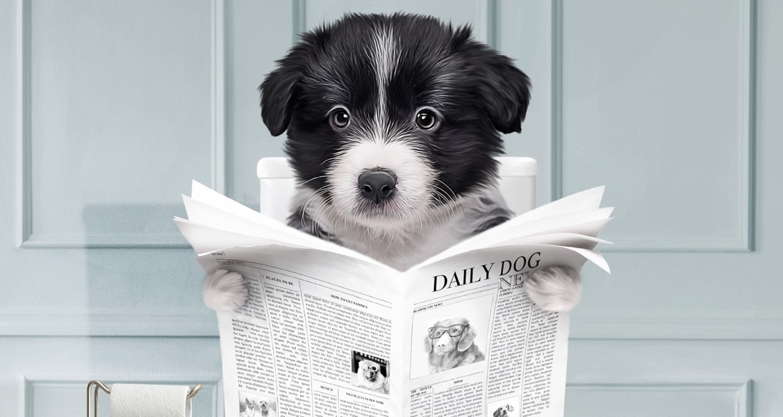 How to Make Your Dog Happy How to Make Your Dog Happy
