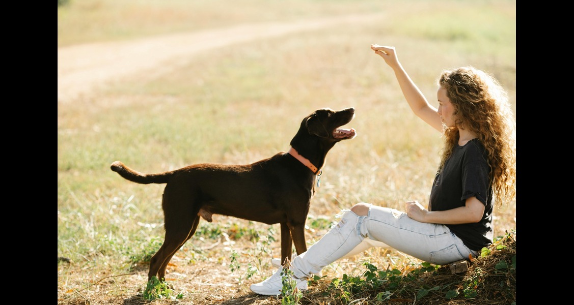 Are Your Dog’s Treats Hard to Digest? Try These Gentler Alternatives Are Your Dog’s Treats Hard to Digest? Try These Gentler Alternatives