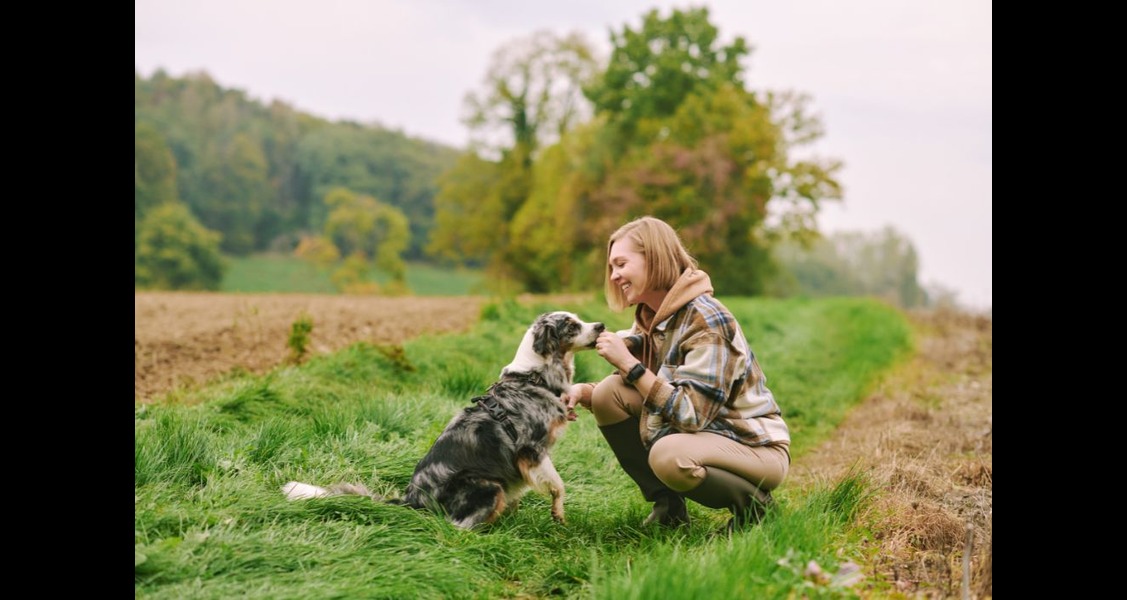 Top 5 Health Considerations for Farm Dogs