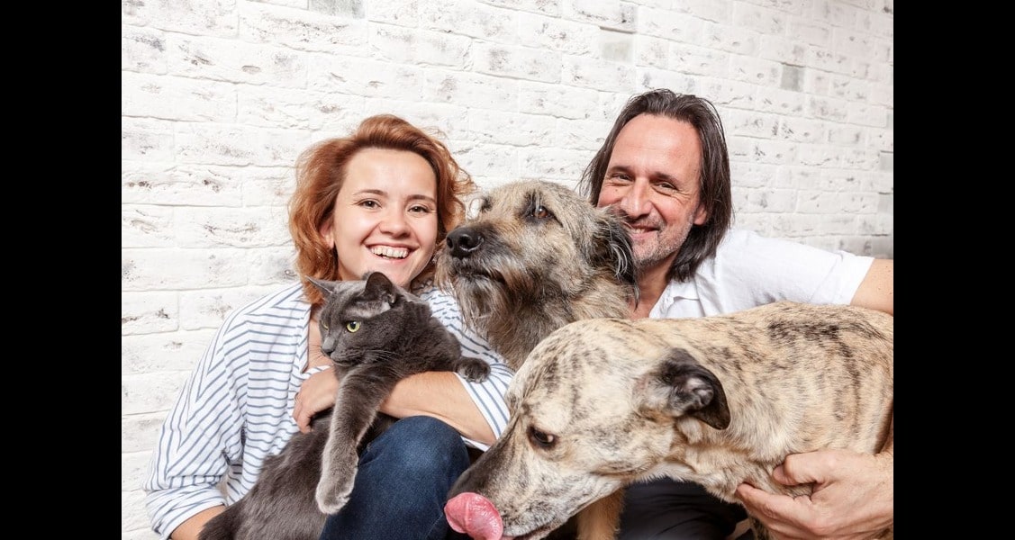 5 Easy Ways To Improve Your Dog’s Well-Being 5 Easy Ways To Improve Your Dog’s Well-Being