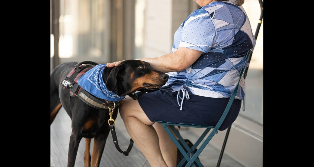 A woman sitting in a chair is petting a service dog