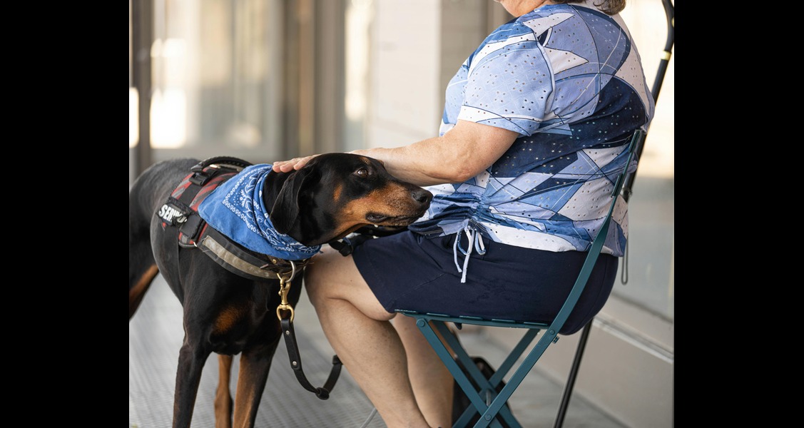 ESA, Therapy, or Service Animal? Clearing Up the Confusion for Pet Parents